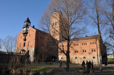 Завдяки старанням фундатору історико-культурного комплексу «Замок Радомисль», громадському діячу, лікарю Ользі Богомолець занедбані приміщення на заболоченій та засміченій території вдалося перетворити на оазис української духовності. 